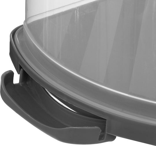 5Five Platou de Servire Dreptunghiular Plastic Transparentă 36x13.3buc 1buc