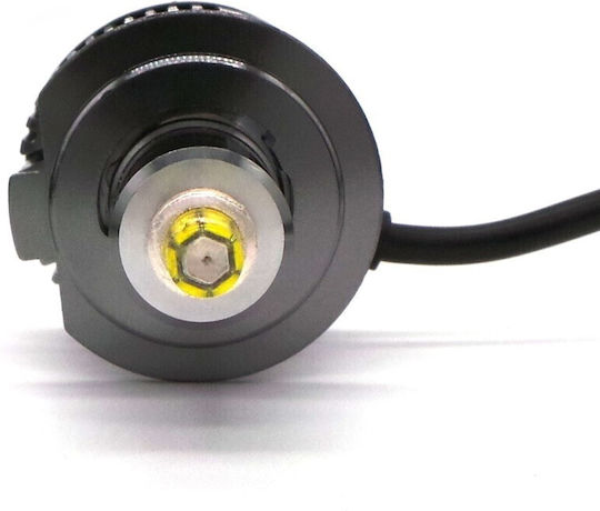 Λάμπες Αυτοκινήτου H7 Canbus LED 5500K Ψυχρό Λευκό 12V / 24V 2τμχ