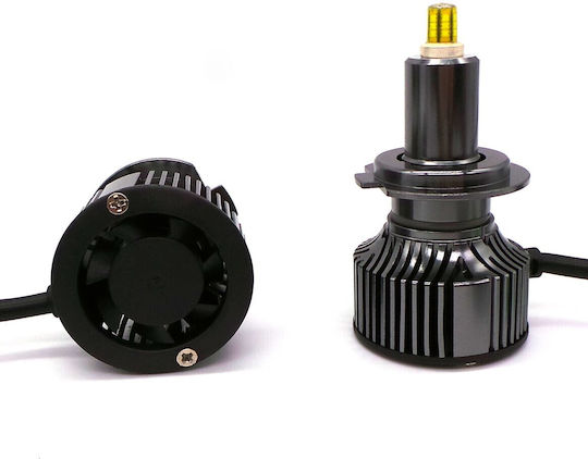 Λάμπες Αυτοκινήτου H7 Canbus LED 5500K Ψυχρό Λευκό 12V / 24V 2τμχ