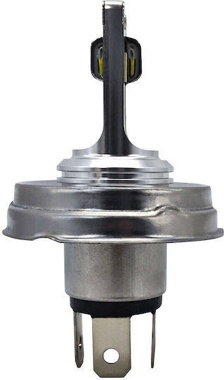 Lamps Car H4 Canbus LED 5000K Cold White 12V / 24V 50W 1pcs