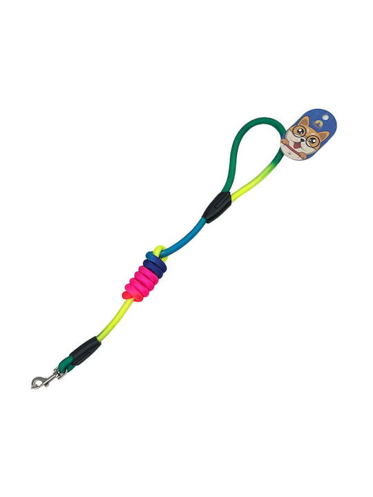 Record Dog Harness 87471