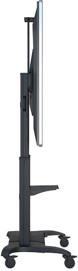 Multibrackets M Public Floorstand Dual Pillar 180 HD Suport TV pardoseală până la 100" și 90kg Negru