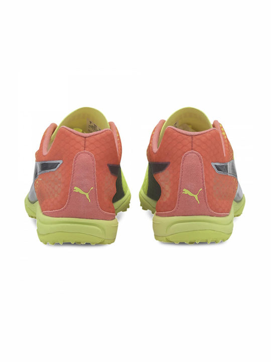 Puma Evospeed Haraka 6 Sport Shoes Spikes Multicolour