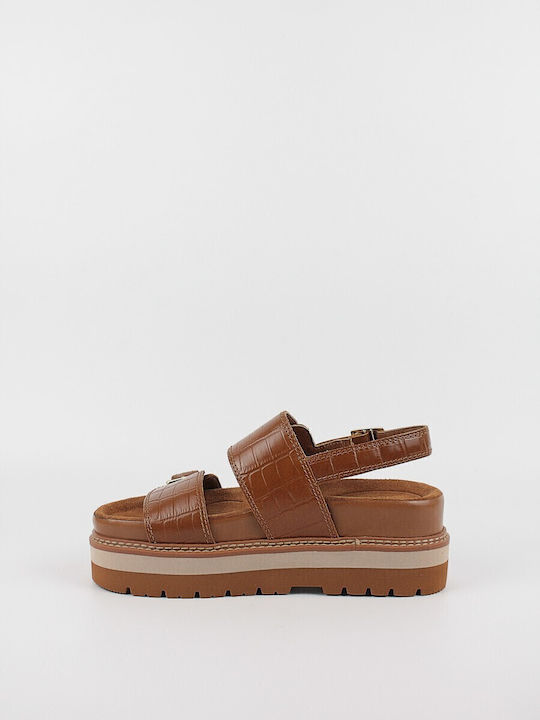 Clarks Clarks
