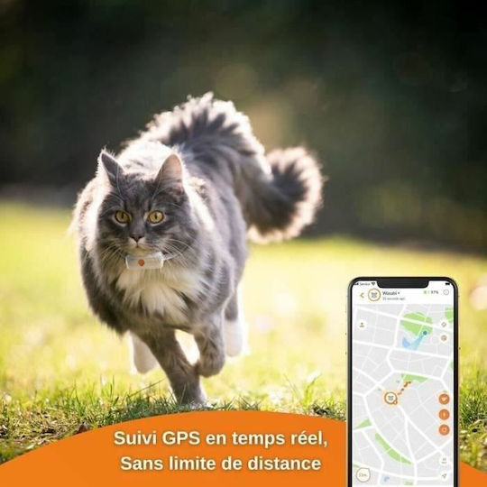 Weenect Anti Lost XS Dog GPS Shock Collar for Cat
