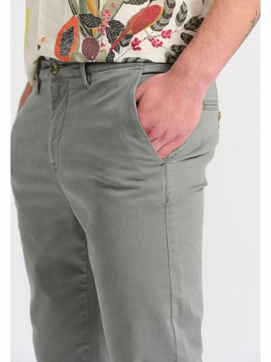 Trousers Chino Elastic in Regular Fit Sage Green