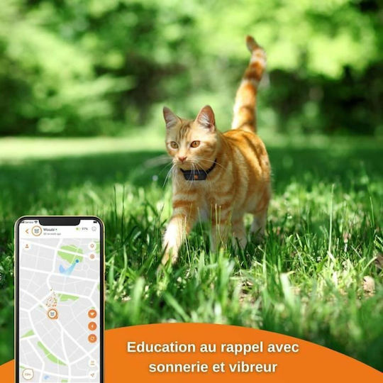 Weenect GPS Електрическа Огърлица за Куче & Куче