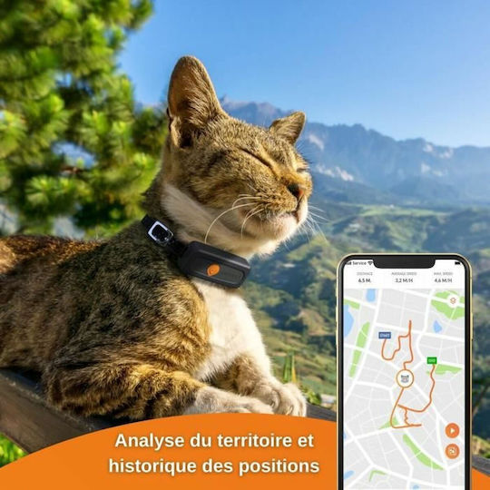 Weenect GPS Електрическа Огърлица за Куче & Куче
