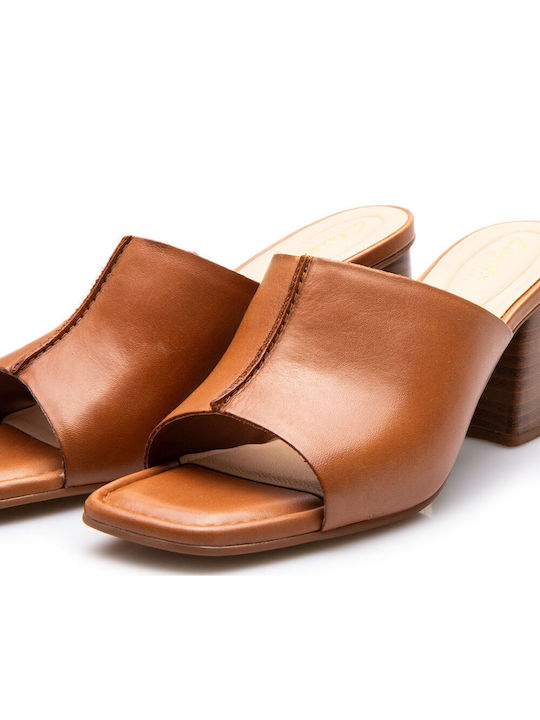 Siara65 Band Mules with Chunky Low Heel in Tabac Brown Color