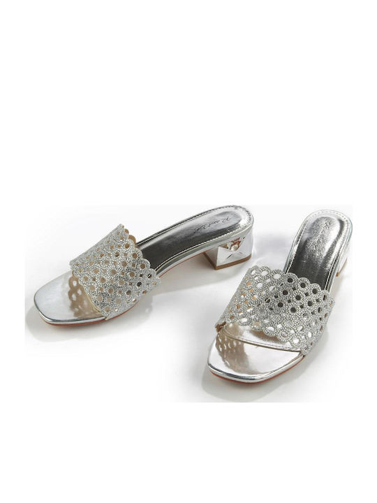 Mules with Chunky Low Heel in Silver Color