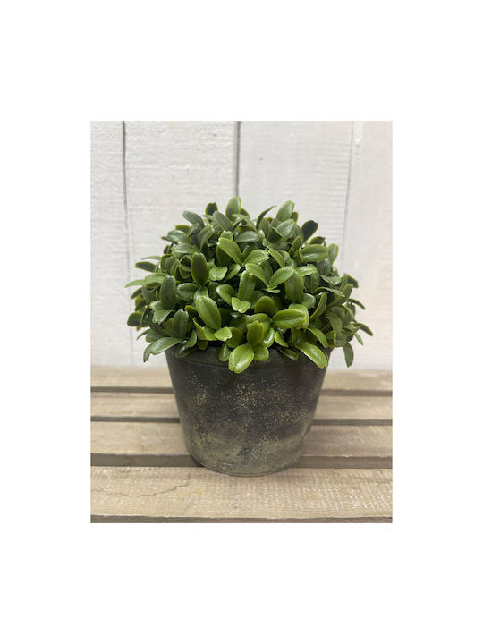 Изкуствено растение в саксийка Buxus (Обща кутия) Beige 15.3см Ankor