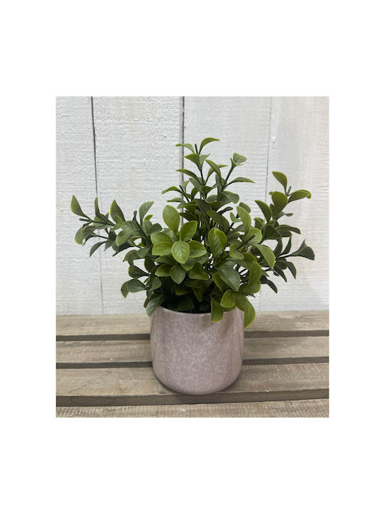 Ankor Artificial Plant in Small Pot Beige 1pcs