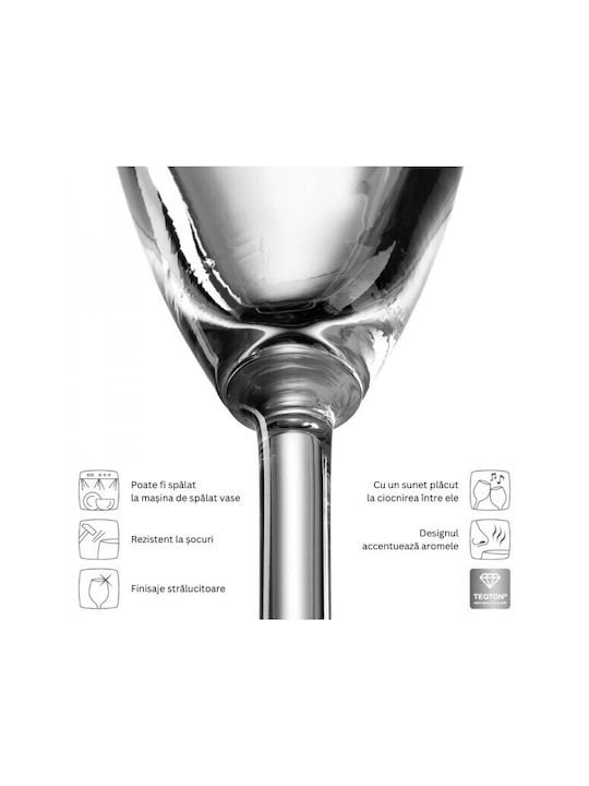 Leonardo Daily Set of Glasses Champagne made of Glass Stemmed 200ml 6pcs