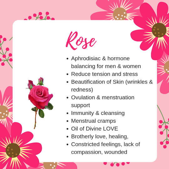 Ροδελαιο Φυτικο Ελαιο 20 Ml