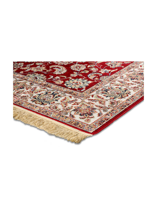 Newplan Sonia 553/301220 Rug Rectangular