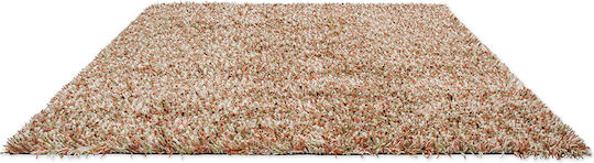 Brink & Campman Spring Covor Rectangular Multicolor