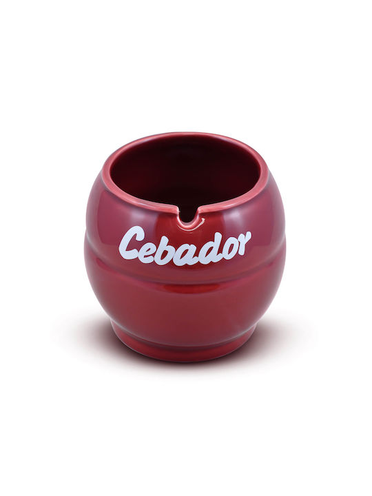 Cebador Heat Change Mug 350ml