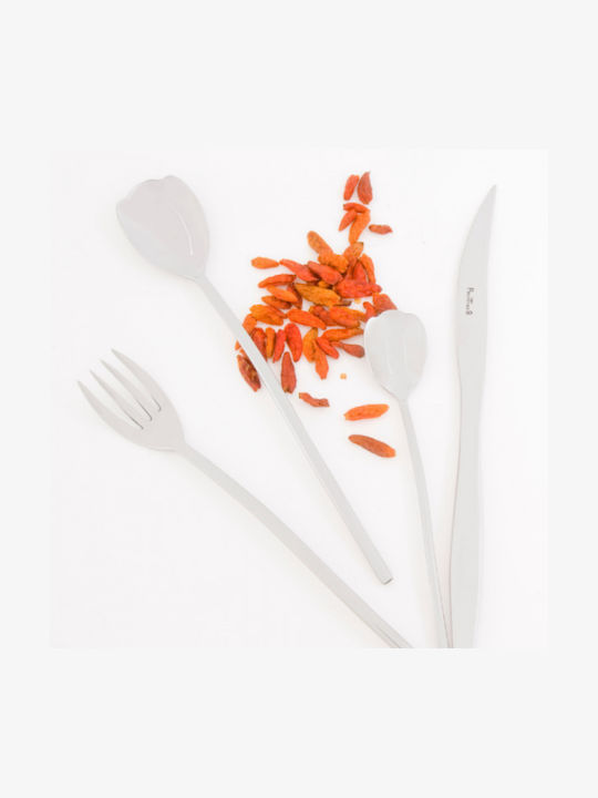 Pintinox Set de Tacâmuri Inoxidabil Argintiu 24buc