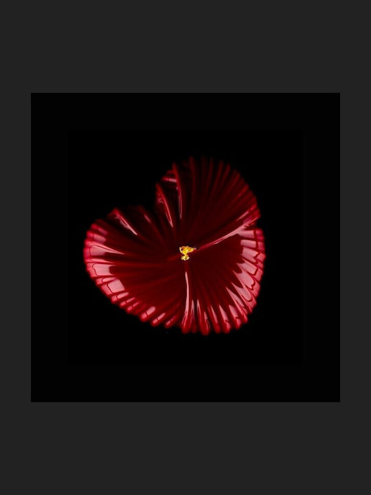 Silikomart Lovely Formă de Patiserie pentru Chec Inima din Silicon 18.2x17.3x6.8buc 1buc