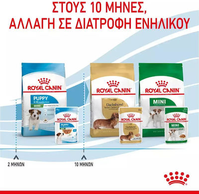 Royal Canin Nassfutter mit Fleisch 1 x 85g