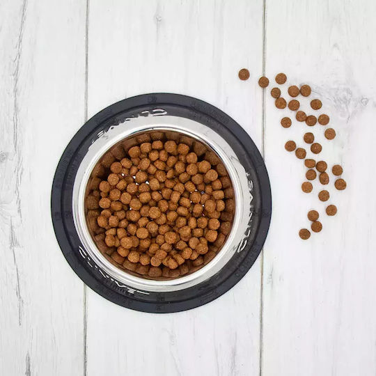 4kg Dry Food Diet for Adult Dogs