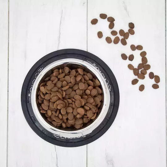 2kg Dry Food Grain-Free for Adult Dogs with Salmon, Tuna, Fish, Wheat, Calf and Lamb