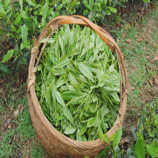 Τσαι Ασπρο Bai Mu Dan Κινας 500 Gr