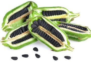 Black Sesame Seed Oil 30 ml