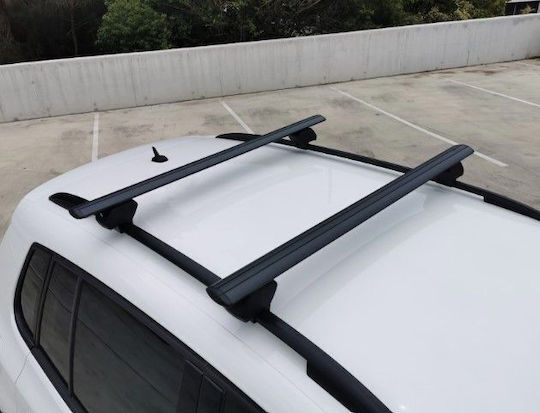 Deckenstangen - Für integrierte Parallelstangen, 120 cm mit Schlüssel, Farbe schwarz - Set 2tlg.