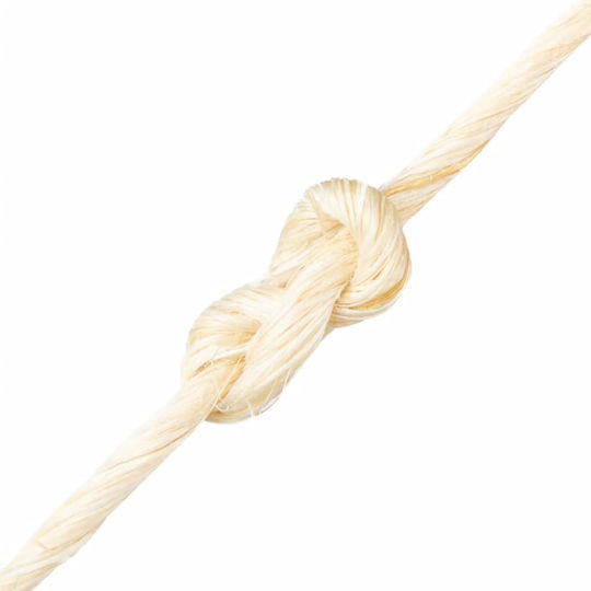 vidaXL Σχοινί Στριφτό 2mm 600m Σιζάλ 3.3kg