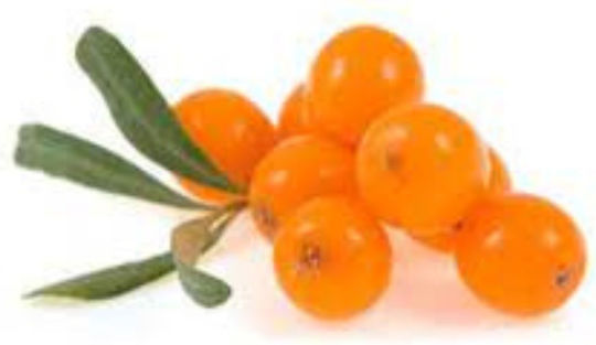 Holigreen Red Forest Protein Bar with 12gr Protein & Flavor Raspberry Strawberry Hippophae 60gr