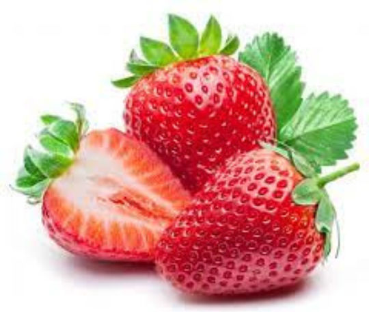 Holigreen Red Forest Protein Bar with 12gr Protein & Flavor Raspberry Strawberry Hippophae 60gr
