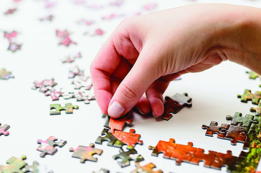 Around the World No1 Puzzle 2D 1000pcs 111326287