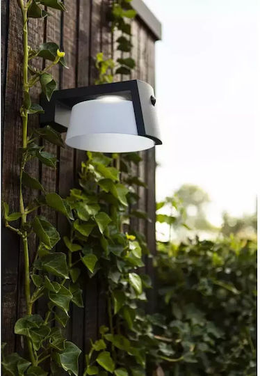 Lutec Wall Mounted Solar Light 9.5W 1000lm Natural White 4000K with Motion Sensor and Photocell IP44 16cmx21.7cmx9.6cmcm