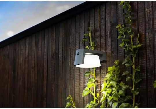 Lutec Wall Mounted Solar Light 9.5W 1000lm Natural White 4000K with Motion Sensor and Photocell IP44 16cmx21.7cmx9.6cmcm