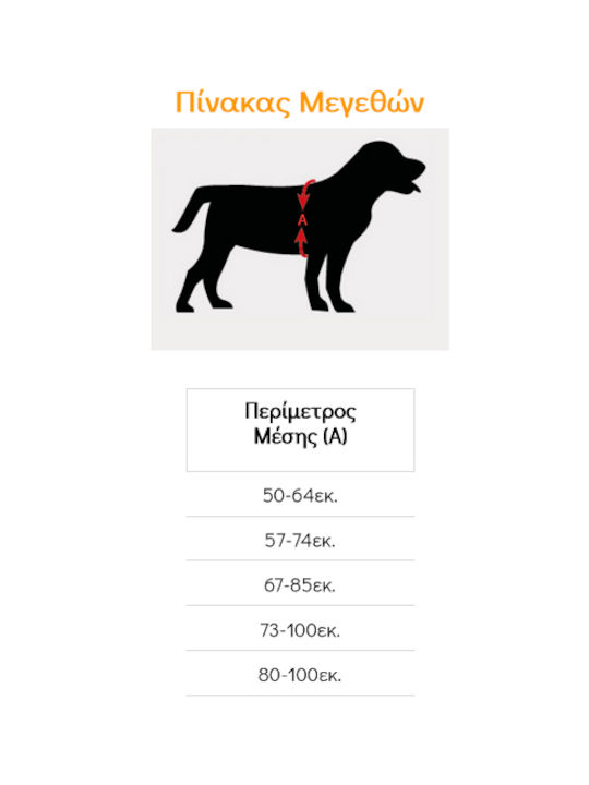 Pet Interest Σαμαράκι Σκύλου Εκπαιδευτικό GoGet Standard Μαύρο Small 50 - 64cm