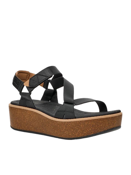 Teva