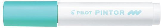 Pilot Pintor M Permanent Marker 4.5mm Pastel Green
