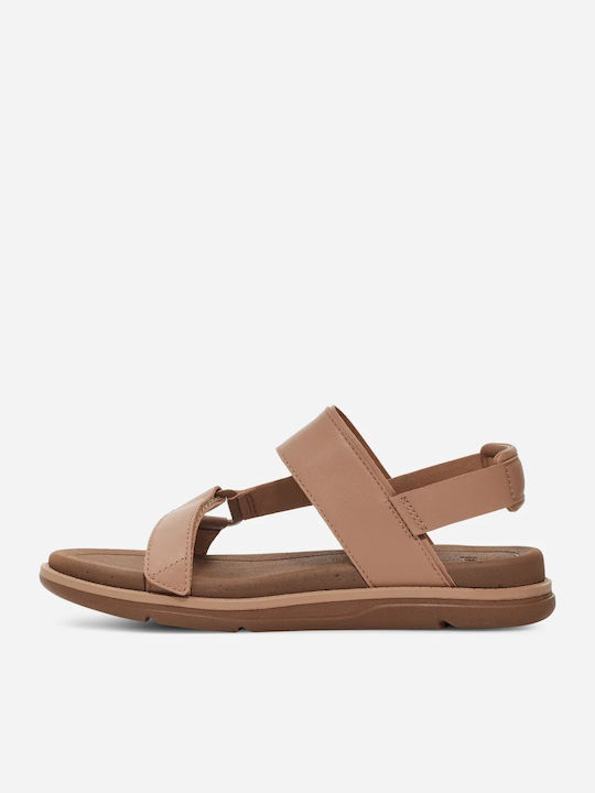 Teva