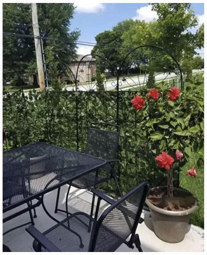 Gardlov Künstliches Laubpaneel 50cm x 3m