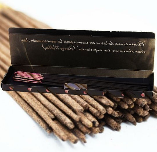 Tentacion Aromatic Sticks with Pheromones with Scent Chocolate 20pcs