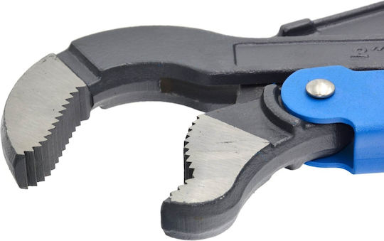 Geko Cheie Torx