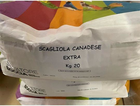Pico Pico Scagliola Candeze Extra Millet Canary Seed Birds Food for Birds 20kg