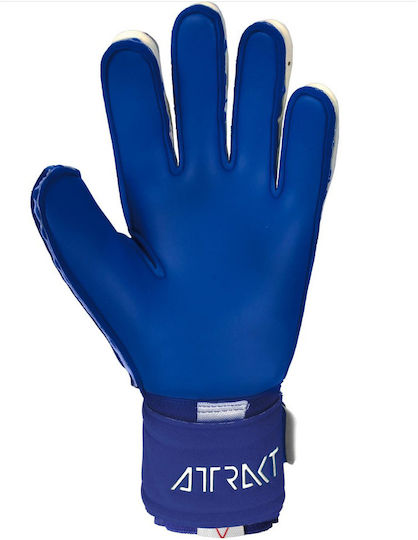 Reusch Attrakt Gold X Expanse Cut 2.0 Mănuși portar Adulți Albastru