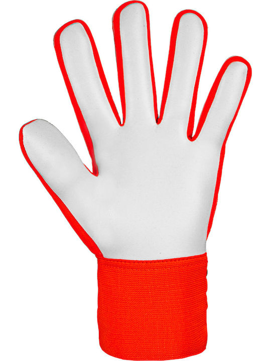 Reusch Attrakt Starter Solid Γάντια Τερματοφύλακα Ενηλίκων Πορτοκαλί
