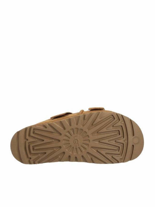 Goldenstar Γυναικεία Σανδάλια Chestnut Narrow Fit