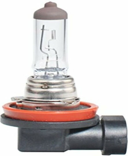 M-Tech Lamps Car & Motorcycle Standard H8 Halogen 12V 35W 1pcs