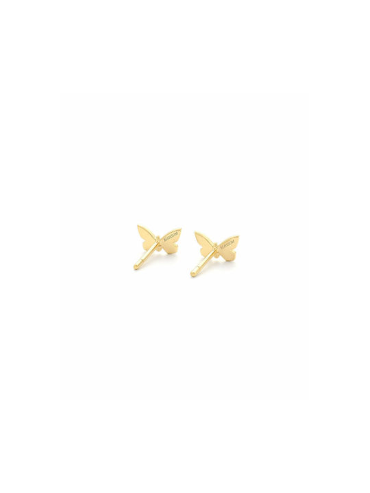 Secrecy Earrings made of Silver Gold Plated