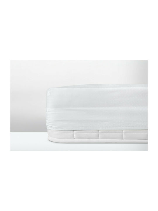 Cannon Imperial Πουά Σεντόνι King Size με Λάστιχο 180x200+40εκ. White
