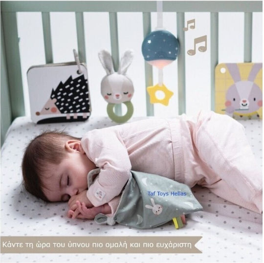 Taf Toys Babyspielzeug Schlafset für 0++ Monate